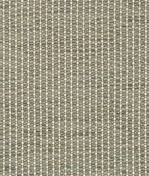 Kravet Design 35123-21 Fabric