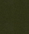 Kravet Savoy Suiting Hunter Fabric