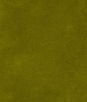 Kravet Design 35366-340 Fabric