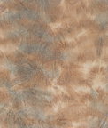 Kravet Vibrant Mesa Fabric