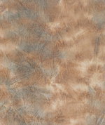 Kravet Vibrant Mesa