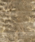 Kravet Vibrant Honey Fabric