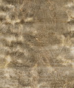 Kravet Vibrant Honey