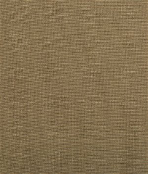 Kravet Basics 35372.106 Fabric