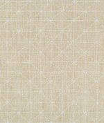 Kravet Appointed Papyrus