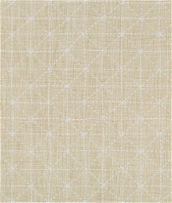 Kravet Appointed Papyrus