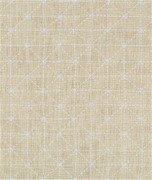 Kravet Appointed Papyrus Fabric