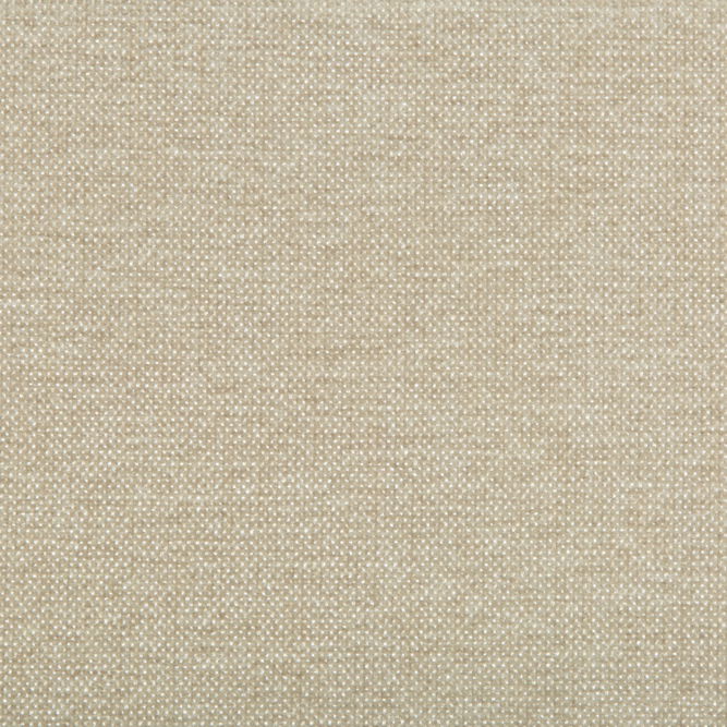 Kravet Smart 35393-116 Fabric