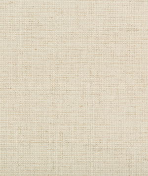 Kravet Smart 35395-116 Fabric