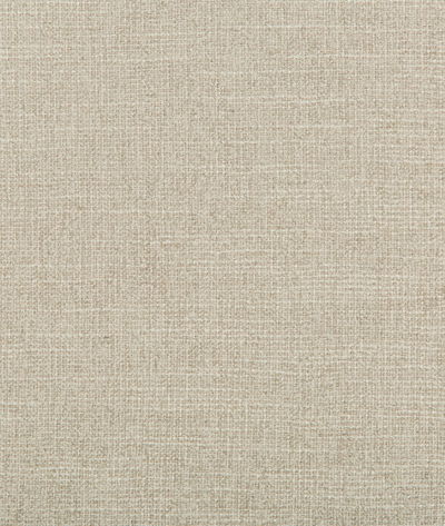Kravet Adaptable Quartz Fabric