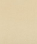 Kravet Madison Velvet Papyrus Fabric