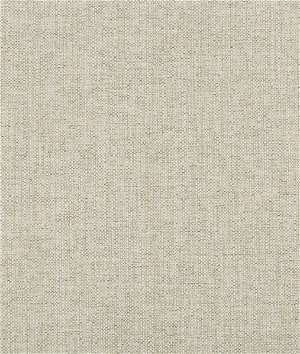 Kravet Contract 35443-111 Fabric