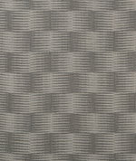 Kravet Line Drawing Graphite