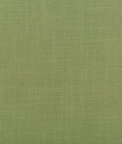 Kravet Aura Wasabi Fabric