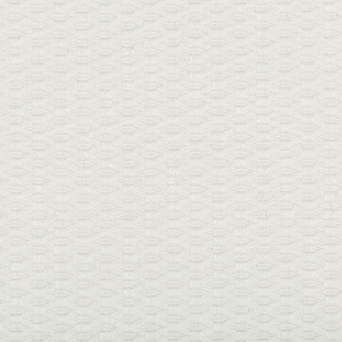 Kravet Design 35583-101 Fabric