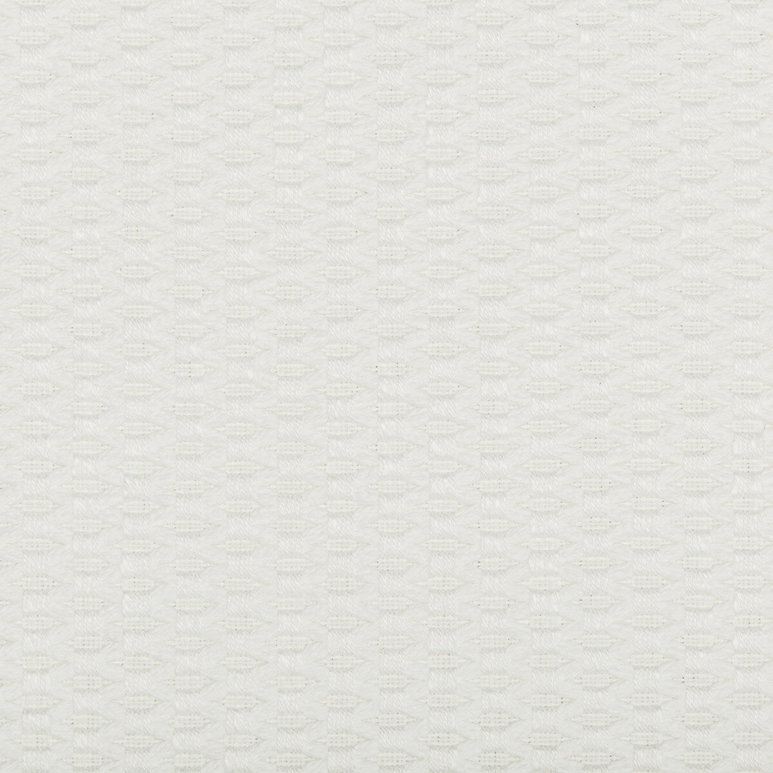 Kravet Design 35583-101 Fabric