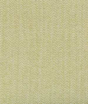 Kravet Design 35675-23 Fabric