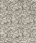 Kravet Design 35677-11 Fabric