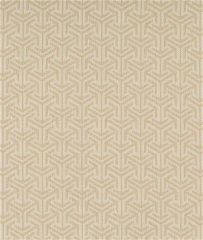 Kravet Design 35715-1 Fabric