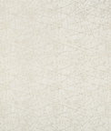Kravet Design 35718-1116 Fabric