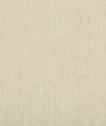 Kravet Williams Sea Salt