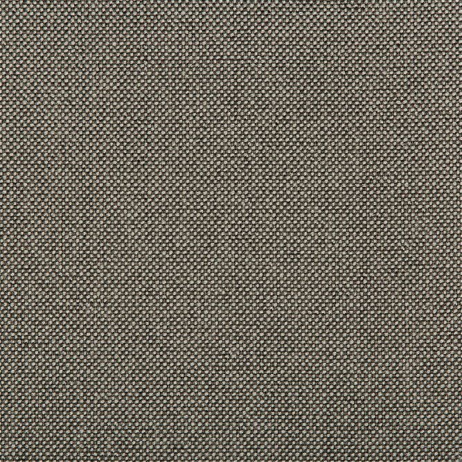 Kravet Williams Nickel Fabric