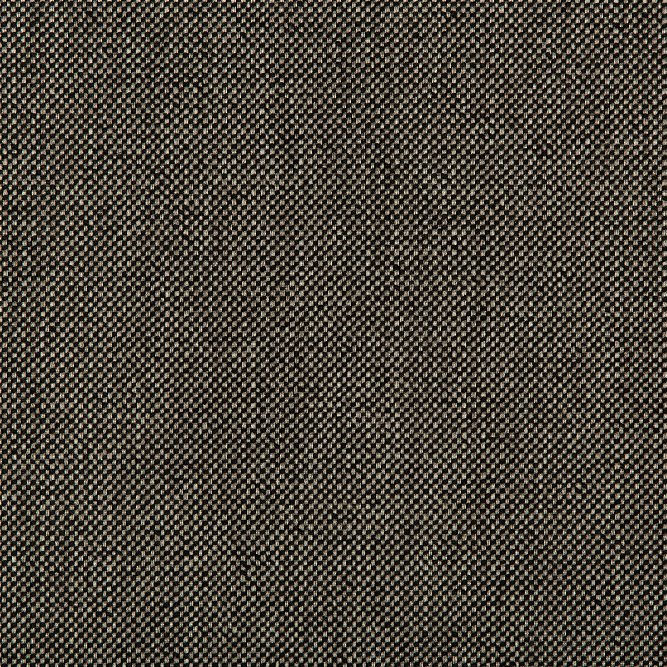 Kravet Williams Obsidian Fabric