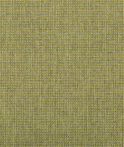 Kravet Burr Meadow Fabric