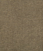 Kravet Burr Pecan