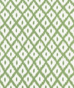 Kravet Pitigala Green