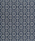 Kravet Raia Navy Fabric