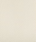 Kravet Fortesa Ivory Fabric