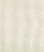 Kravet Fortesa Ivory