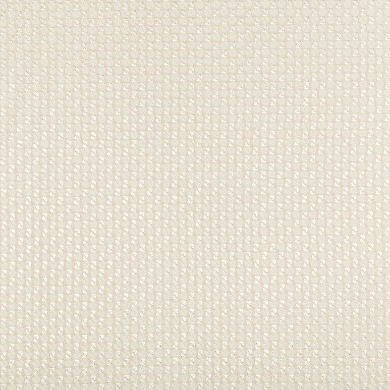 Kravet Fortesa Ivory Fabric