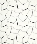 Kravet Diverging Ebony Fabric