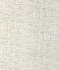 Kravet Warp Weft Powder Fabric