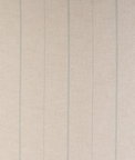 Kravet Chipper Ciel Fabric