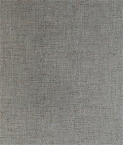 Kravet Groundcover Grey