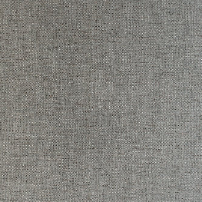 Kravet Groundcover Grey Fabric