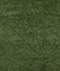 Kravet Becca Forest Fabric