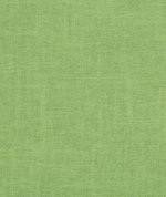 Kravet Emmie Jade