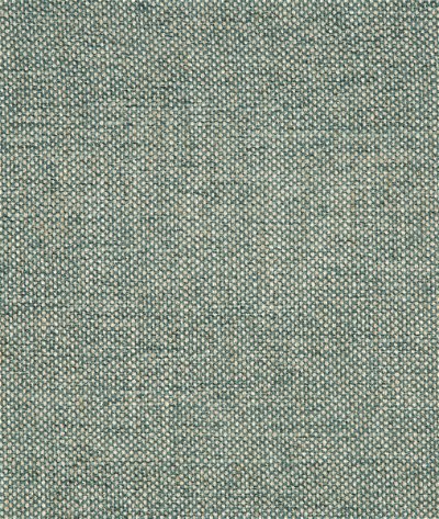 Kravet Smart 35989-135 Fabric