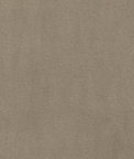 Kravet Plushilla Beige Fabric