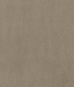 Kravet Plushilla Beige