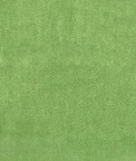 Kravet Plushilla Emerald