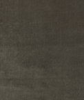 Kravet New Elegance Truffle Fabric
