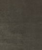 Kravet New Elegance Truffle Fabric