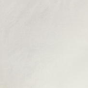 Kravet New Elegance Ivory Fabric