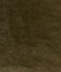 Kravet Regal Velvet Olive Fabric