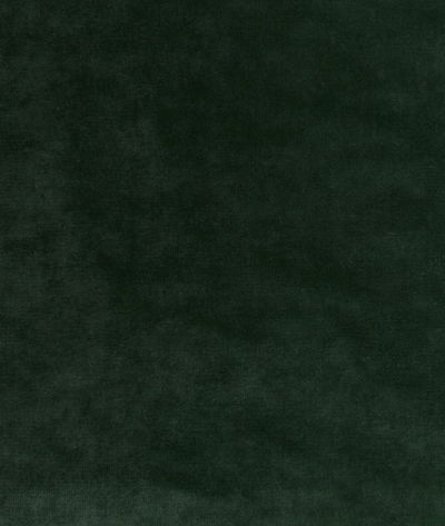 Kravet Regal Velvet Sage Fabric